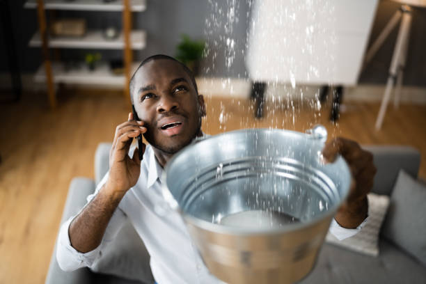 Best Water damage restoration near me  in Galls, IN