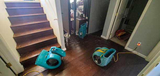 Best Local water damage restoration  in Galls, IN