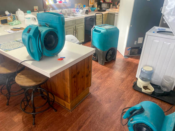 Best Water damage restoration near me  in Galls, IN