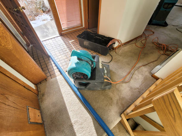 Best Commercial water damage restoration  in Galls, IN