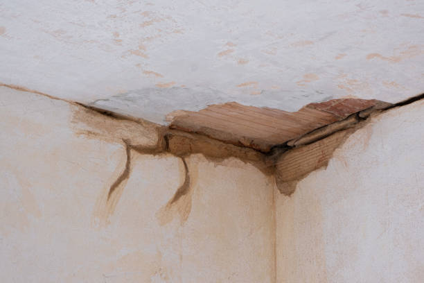 Best Flood restoration services  in Galls, IN