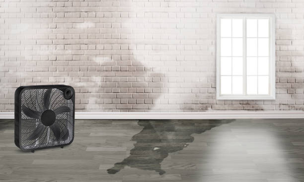Reliable IN Water damage restoration Solutions