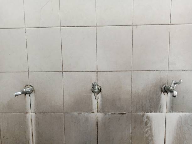 Best Water damage restoration mold remediation  in Galls, IN