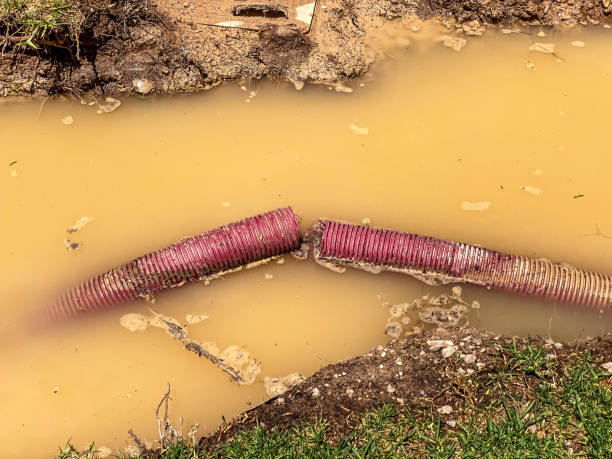 Best Mold removal after water damage  in Galls, IN