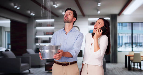Best Water damage repair service  in Galls, IN